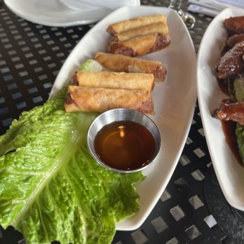 Pink Basil - Spring rolls - Asian Fusion Near Me - Mystic, Connecticut