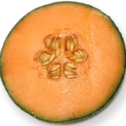 Florida Seeds - Melon Seeds,Cantaloupe Seeds,Cantaloupe Seeds for Sale,Semillas de Melon,Semillas de Melon Canataloupe,Comprar Semillas de Melon