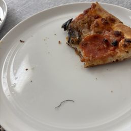 Reheated half a slice and found metal bristle in pizza Reheated half a slice and found metal bristle in pizza