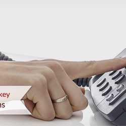 Telecom & Data Geeks - Business Telephone Systems ,Voice & Data Services