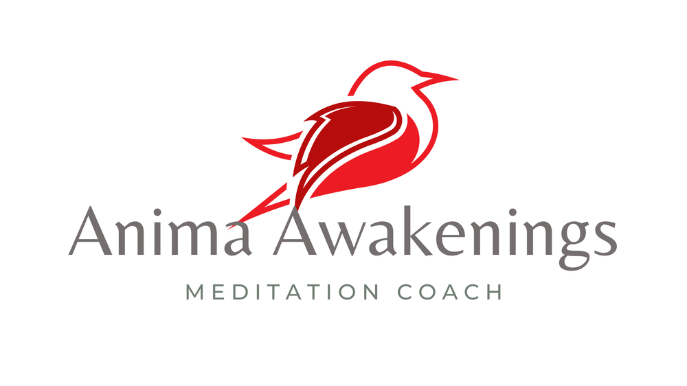 Anima Awakenings Logo