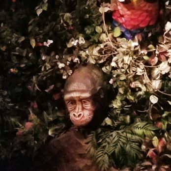Rainforest Cafe - American Near Me - Ontario, California