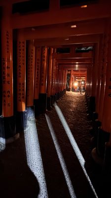 Senbon Torii (Thousand Torii Gates) by null