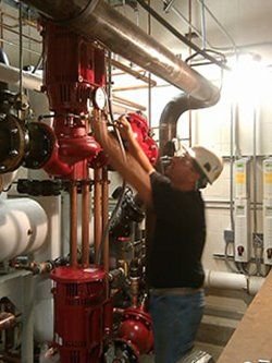 Slide of Reeke-Marold Co