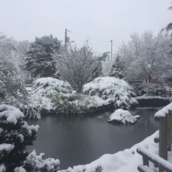 Kaibara Park