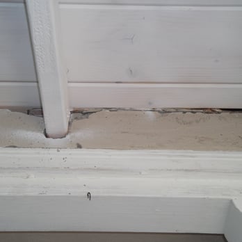 Insect & Rodent Solutions - Spray paint on my wall. And new stucco damage caused by them. - Pest Control Near Me - Vista, California Insect & Rodent Solutions - Spray paint on my wall. And new stucco damage caused by them. - Pest Control Near Me - Vista, California
