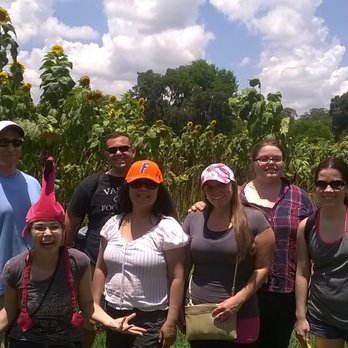 Sweetfields Farm - 2015 - Sweetfields - Farmers Market Near Me - Masaryktown, Florida