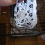 Photo of Dog Dish