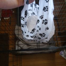 Dog Dish - bag secured