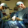 Photo of Texas Oral & Facial Surgery, P.A