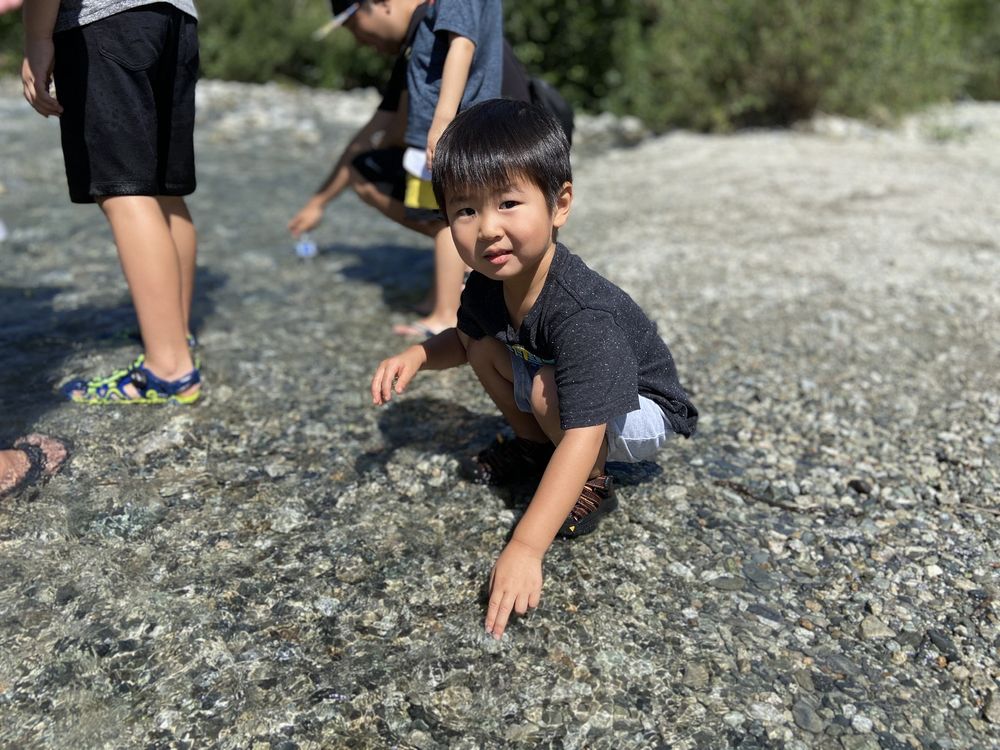 Bonita Ranch Campground 153 Photos & 58 Reviews Campgrounds 900 S