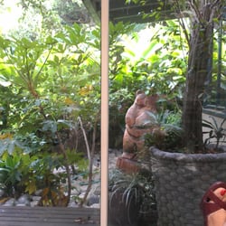 Mary Chess Abelson, DDS -  San Gabriel Valley Dental Society - View from my the room the Dr. saw me in.  So relaxing.