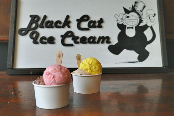 Black Cat Ice Cream by null