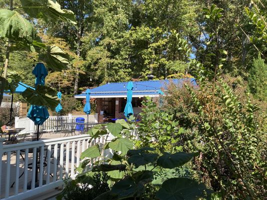 Gauthier Vineyard by null