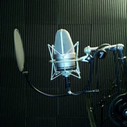 Edible Sounds Recording Studio - One of several studio mics
