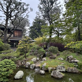 Japanese Tea Garden - Tea Rooms Near Me - San Francisco, California
