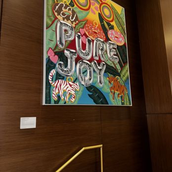 David's - A vibrant, colorful painting featuring the phrase "Pure Joy" with decorative animals and abstract patterns, mounted on a wooden wall. - New American Near Me - Hanover, Maryland