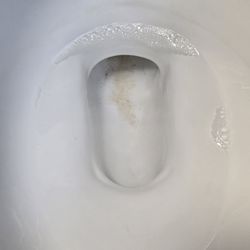 Jiffy Plumb - The opening to the trapway has been severely scratched and discolored. I tried brushing/cleaning it multiple times, but the staining remains