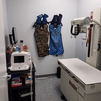 Discovery Bay Veterinary Clinic - Discovery Bay Veterinary Clinic Radiology - Veterinarians Near Me - Discovery Bay, California Discovery Bay Veterinary Clinic - Discovery Bay Veterinary Clinic Radiology - Veterinarians Near Me - Discovery Bay, California