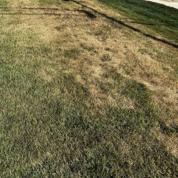 Weed Man - Pest Control Near Me - Haddonfield, New Jersey Weed Man - Pest Control Near Me - Haddonfield, New Jersey