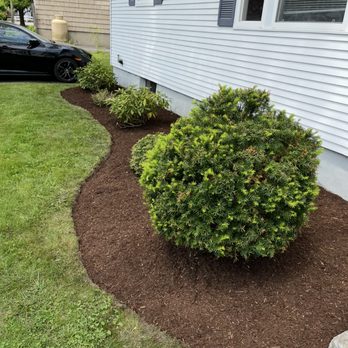 Foy Landscaping - Tree Services Near Me - Bedford, Massachusetts Foy Landscaping - Tree Services Near Me - Bedford, Massachusetts