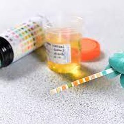 ESC Medical Solution & Kimoz Consulting