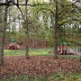 Photo of CC Jones Park