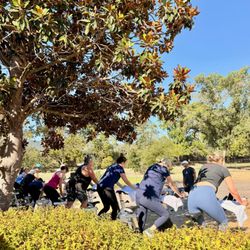 Calistoga Fit
