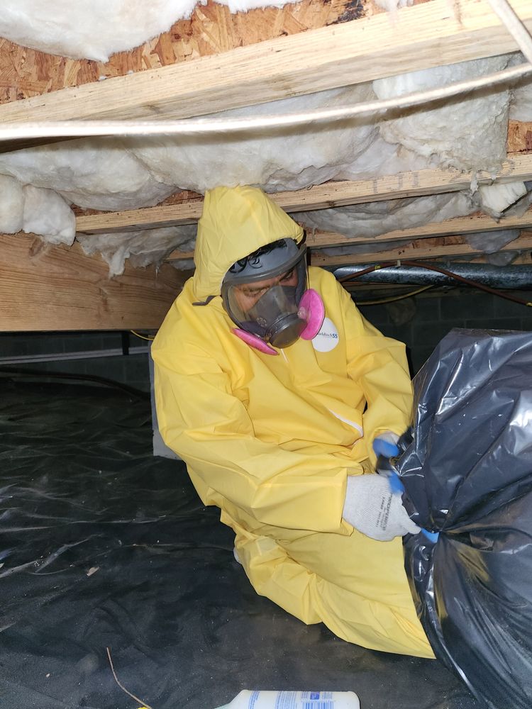 Elementz Restoration - mold inspector in Tar Heel, NC