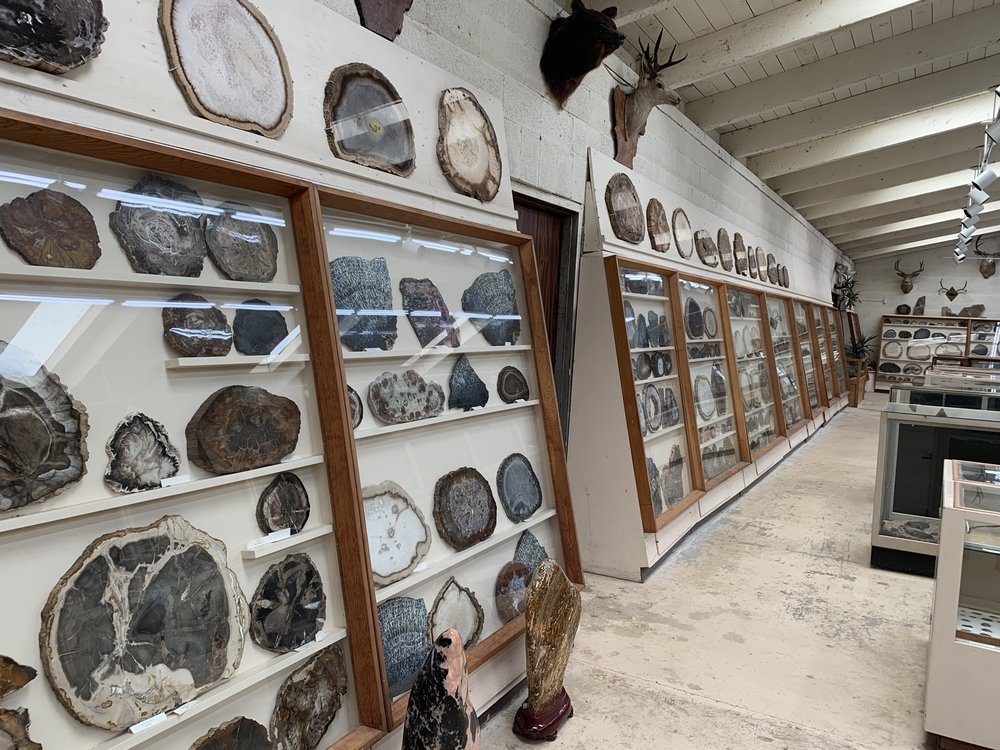 CHAPMAN’S GEM & MINERAL SHOP & MUSEUM 72 Photos & 52 Reviews Museums 66 Metropolitan Rd