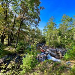 Coos Canyon - The beautiful Coos Canyon falls