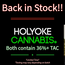 Holyoke Cannabis Dispensary