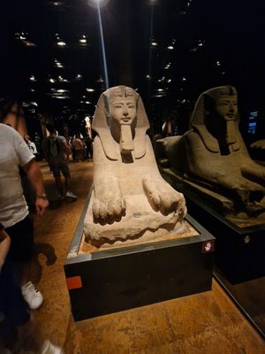 Museo Egizio by null