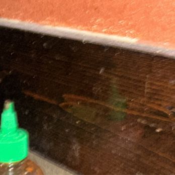 Bonsai Resturant - Chair rail dusty/dirty. - New American Near Me Bonsai Resturant - Chair rail dusty/dirty. - New American Near Me