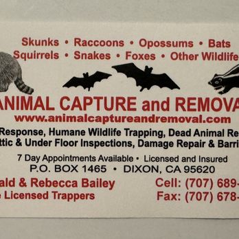 Animal Capture and Removal - Wildlife Control Near Me Animal Capture and Removal - Wildlife Control Near Me