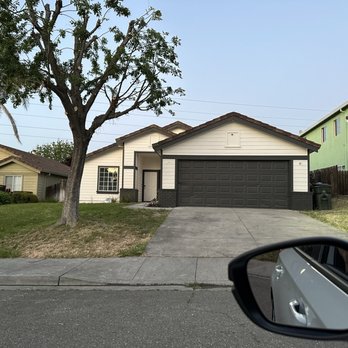 Brothers Tree Services - Trimmed tree - Tree Services Near Me Brothers Tree Services - Trimmed tree - Tree Services Near Me