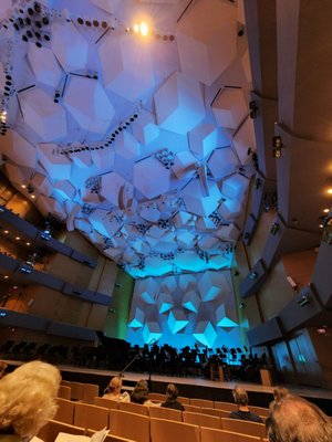 Minnesota Orchestra by null