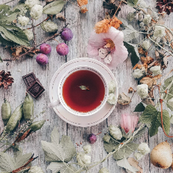 The Burgundy Rose Tearoom - Tea Room