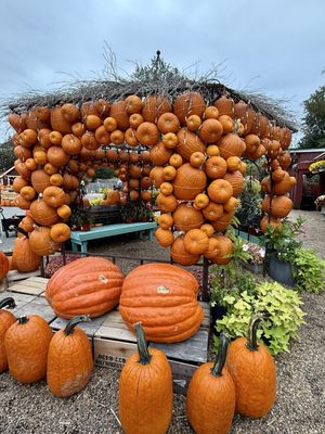 Depaul's Urban Farm by null