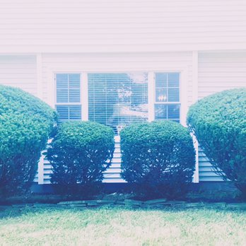 Weisemen Management - Trimmed - Lawn Services Near Me Weisemen Management - Trimmed - Lawn Services Near Me