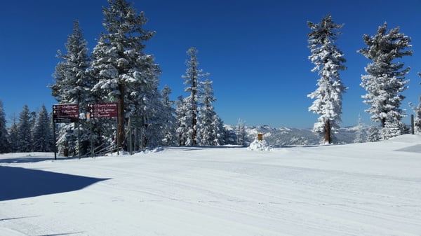 Après Ski & Social Club by null