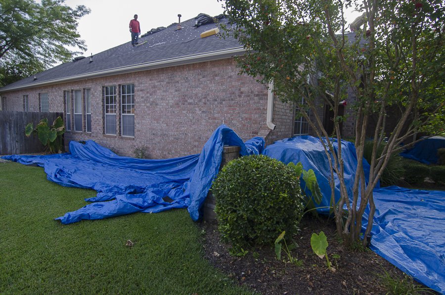 Slide of Freetail Roofing