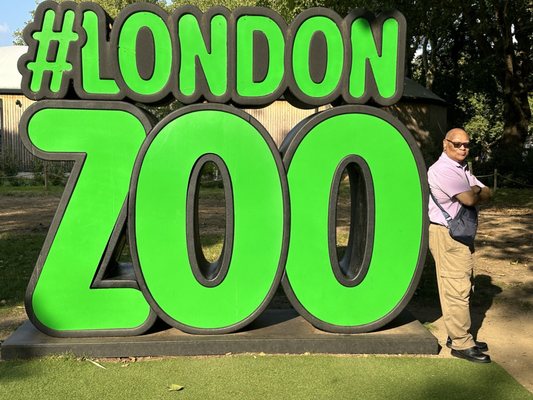 London Zoo by null