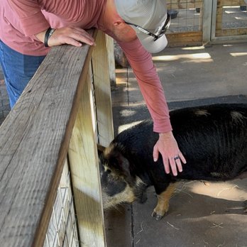 Fort Worth Zoo - Zoos Near Me - Fort Worth, Texas