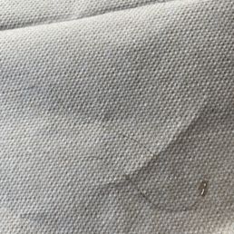 Hair from under my cinnamon roll on a napkin.