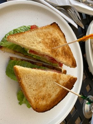 Fancy Plants Kitchen by null