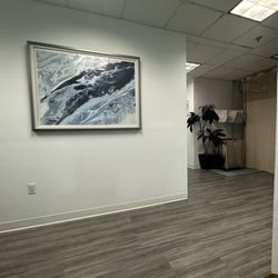 District Injury and Spine Center - DISC - Lobby area