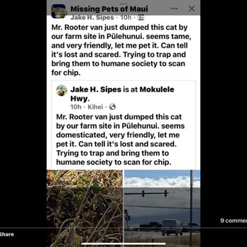 Roto-Rooter - Their employee dumps a cat - Water Heater Installation/Repair Near Me - Kahului, Hawaii Roto-Rooter - Their employee dumps a cat - Water Heater Installation/Repair Near Me - Kahului, Hawaii