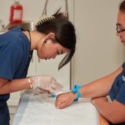 Midwestern Career College