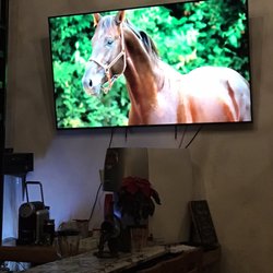 El Tupinamba - Large TV streaming beautiful horses